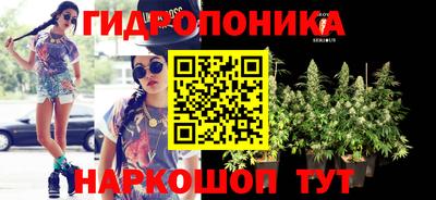 гидра Гусь-Хрустальный